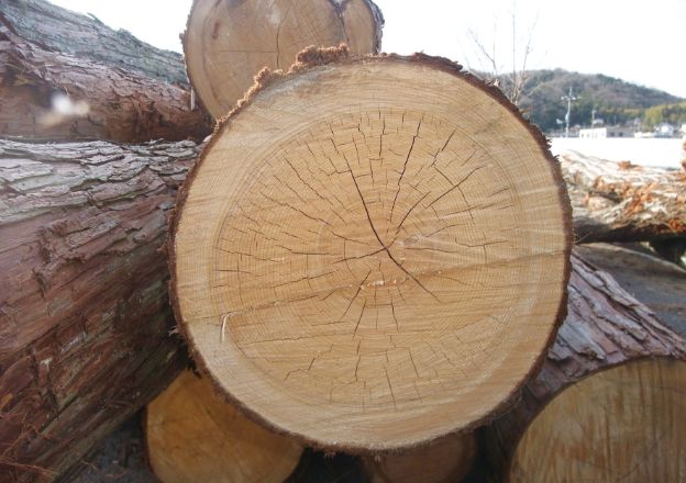 構造材には国内産木材を使用