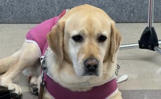 4年振りの多度津町社会福祉大会。