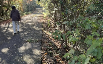 五感で楽しむ、さぬき広島。