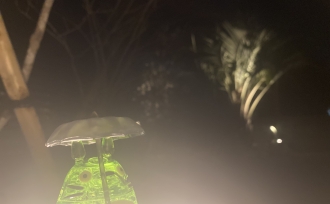 お庭でジブリの世界