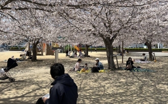 家づくりに生きる、春の気づき🌸