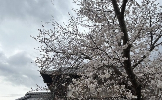 春とともに!T様邸の新築工事スタート🌸