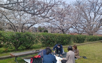 金倉苑近くの公園でお花見ランチ🌸
