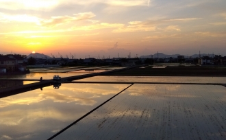 水鏡に映る季節の風景と、夏の楽しみ