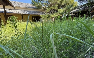 丸亀市岡田地区で新しい家物語が始まります