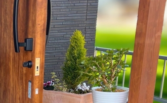 4年越しのクリスマスツリー。