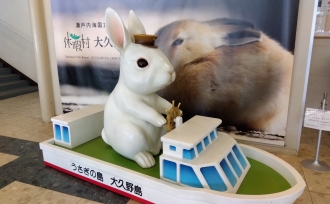 ウサギ島に行ってきました!
