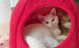 新しく入社しました、広報 平尾です😊