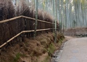 社員旅行に行ってきました🚌✨