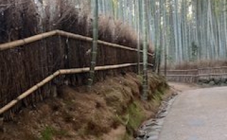 社員旅行に行ってきました🚌✨